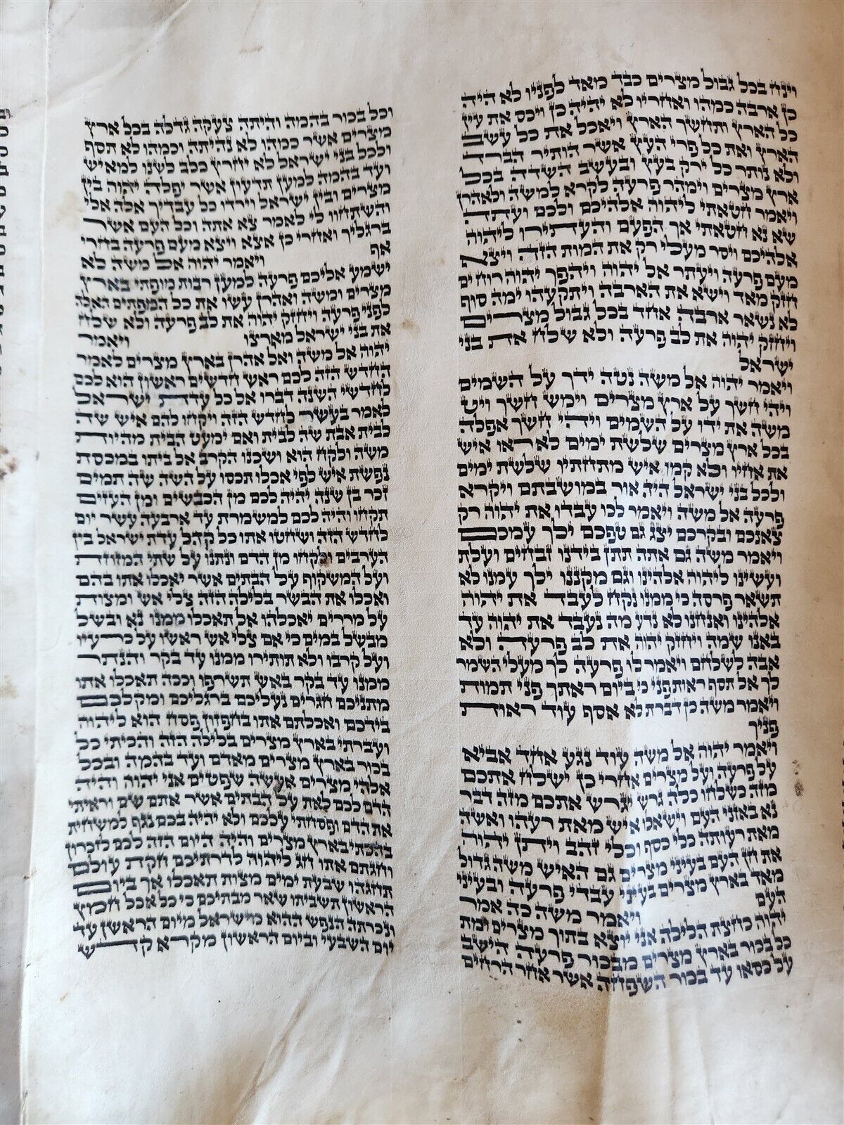 TORAH SCROLL FRAGMENT MANUSCRIPT on VELLUM antique BIBLE EXODUS