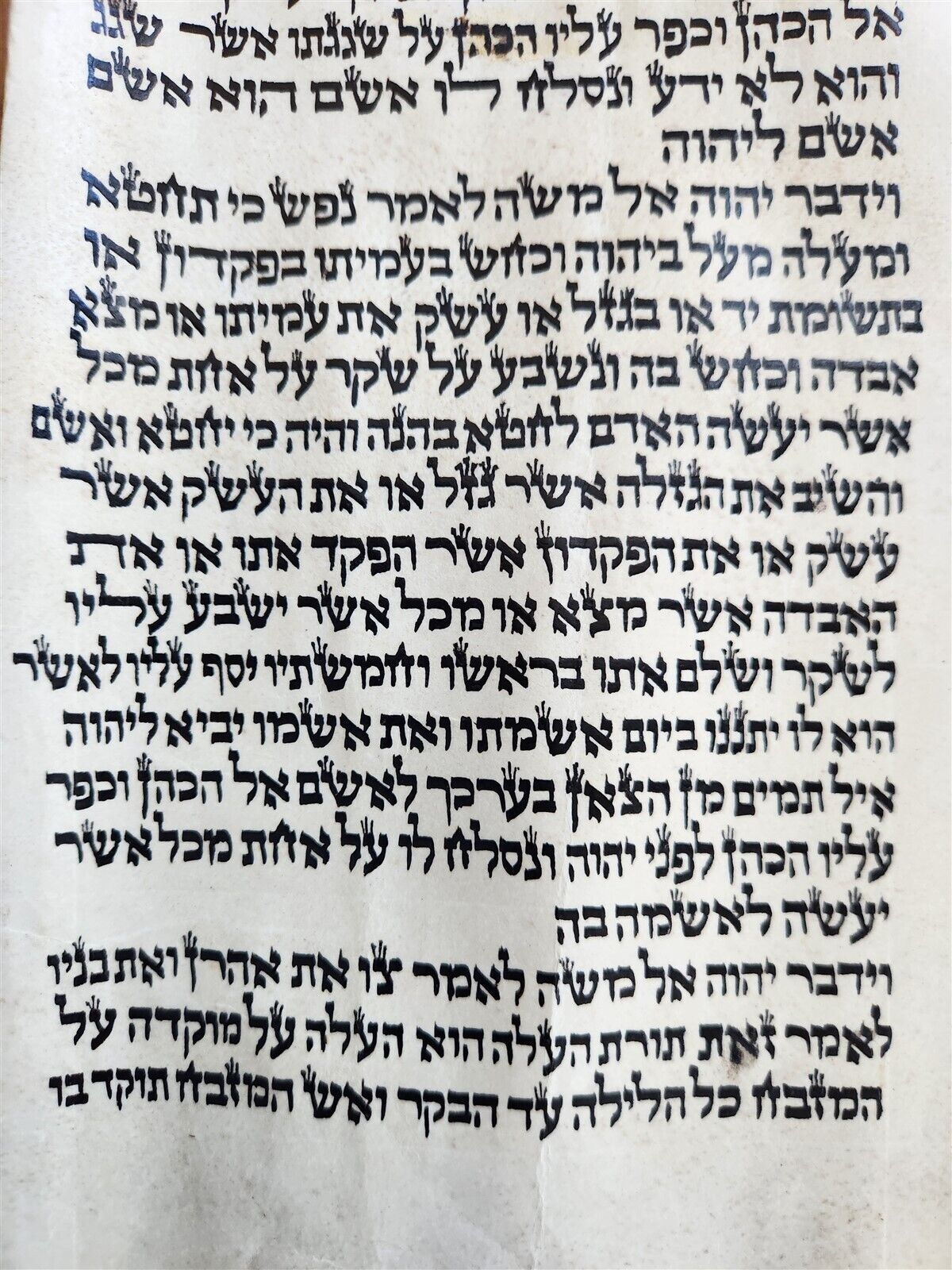 TORAH SCROLL FRAGMENT MANUSCRIPT on VELLUM antique BIBLE LEVITICUS 4:23 - 6:2