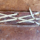 16th-17th CENTURY LARGE FOLIO BINDING antique LEATHER 12.5 by 18 inches