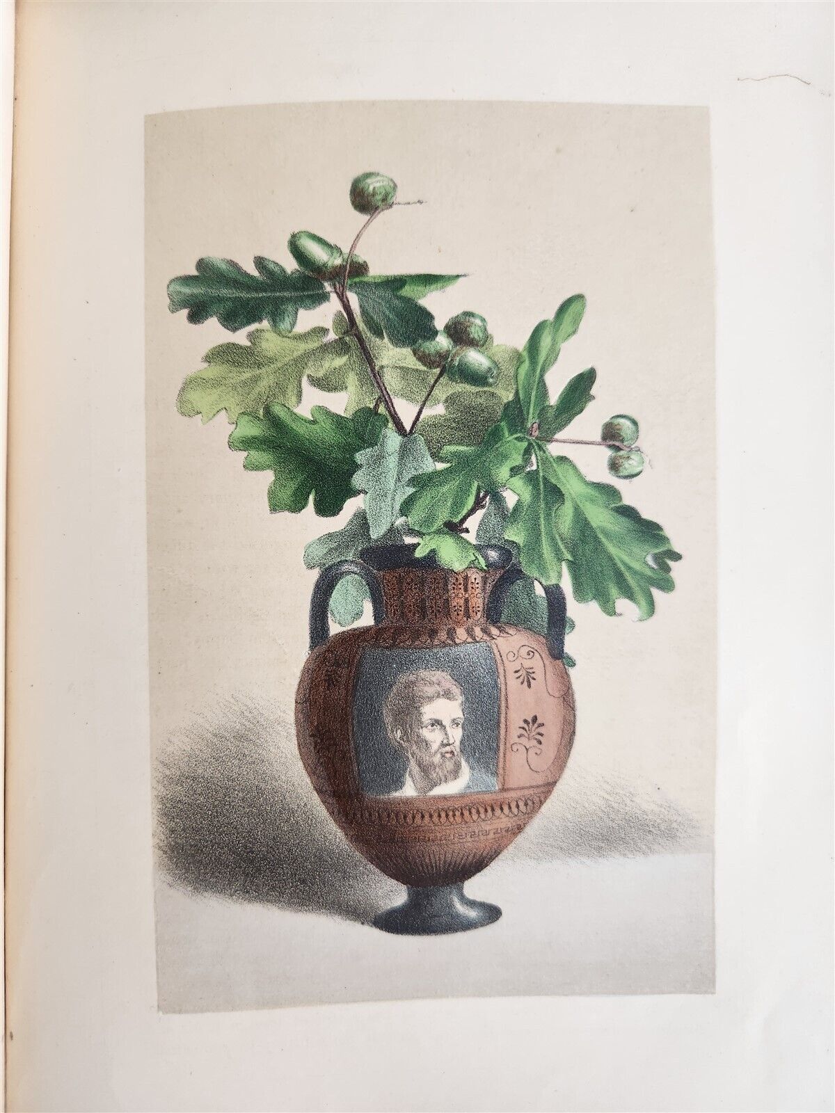 1871 FLOWER EMBLEMS ILLUSTRATED antique in ENGLISH