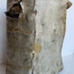 1585 BIBLE in LATIN printed in LONDON antique VELLUM 16th CENTURY NEW TESTAMENT