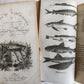 1818 HISTORY of ANIMALS ILLUSTRATED w/ 65 PLATES antique 6 VOLUMES