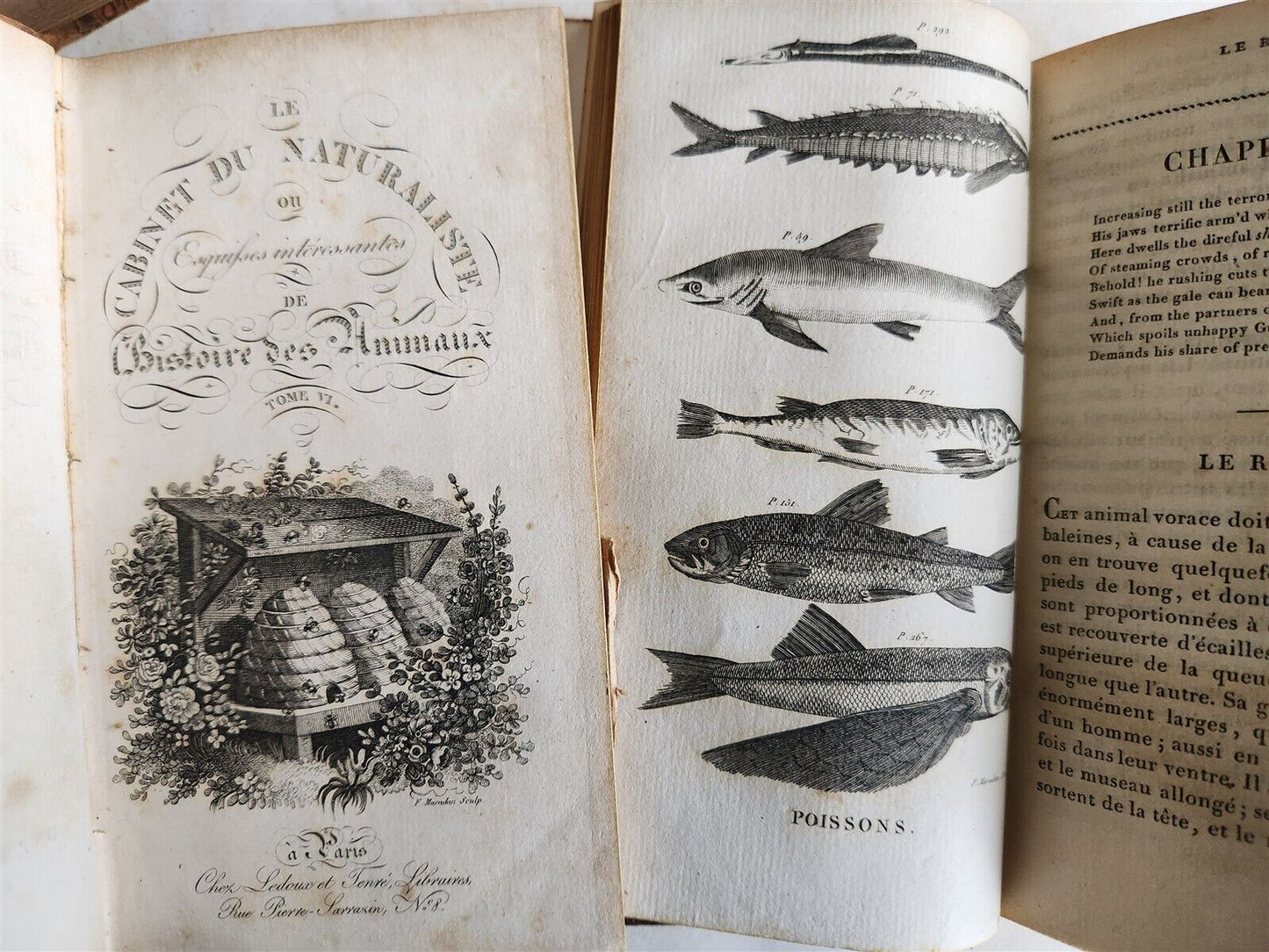 1818 HISTORY of ANIMALS ILLUSTRATED w/ 65 PLATES antique 6 VOLUMES