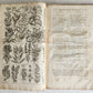 1756 BRITISH HERBAL J.HILL antique ILLUSTRATED FOLIO HISTORY OF PLANTS & TREES