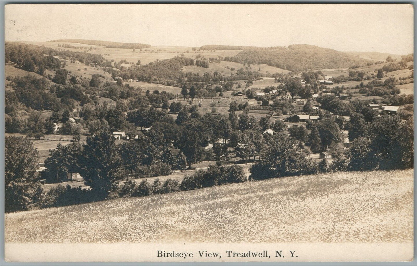 TREADWELL NY BIRDS EYE VIEW ANTIQUE REAL PHOTO POSTCARD RPPC