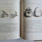 1798 PHYSIOGNOMY Johann LAVATER 5 VOLUMES antique ILLUSTRATED FOLIO in ENGLISH