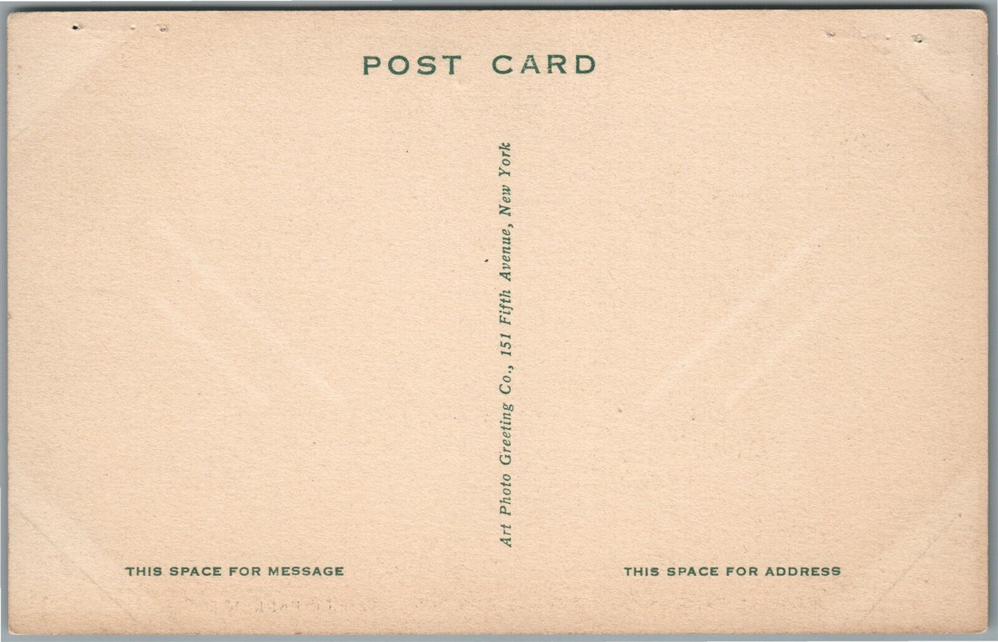 ROSELLE PARK NJ TRUST COMPANY BUILDING ANTIQUE POSTCARD