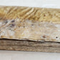 1576 CICERO Rhetoricorum ad Herennium antique 16th CENTURY vellum binding