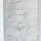 18th cent. MANUSCRIPT ROMAN LAW BOOK Institutiones Juris Civilis VELLUM antique