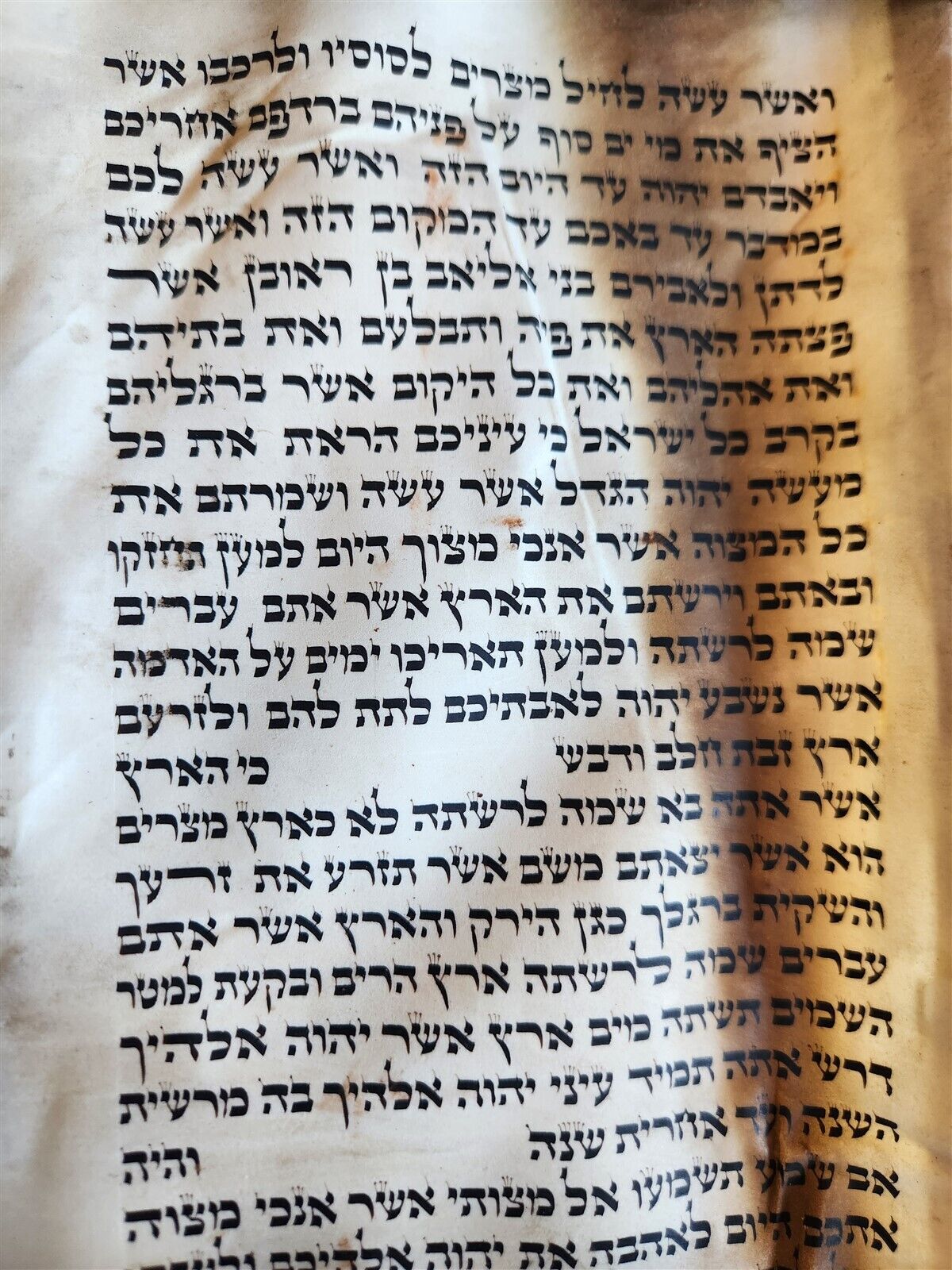 TORAH SCROLL FRAGMENT MANUSCRIPT on VELLUM antique BIBLE DEUTERONOMY 11:4-13:12