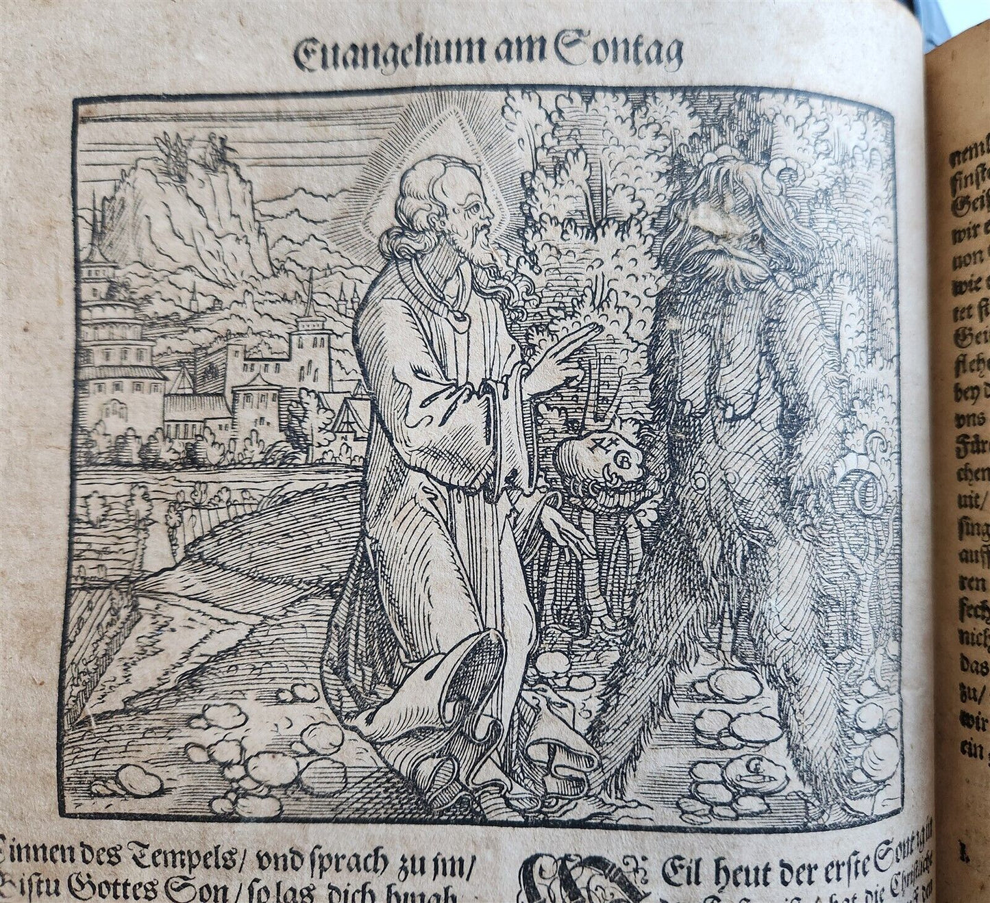 1583 ILLUSTRATED POSTILLA antique 80 WOODCUTS CRANACH SCHOOL ARTIST