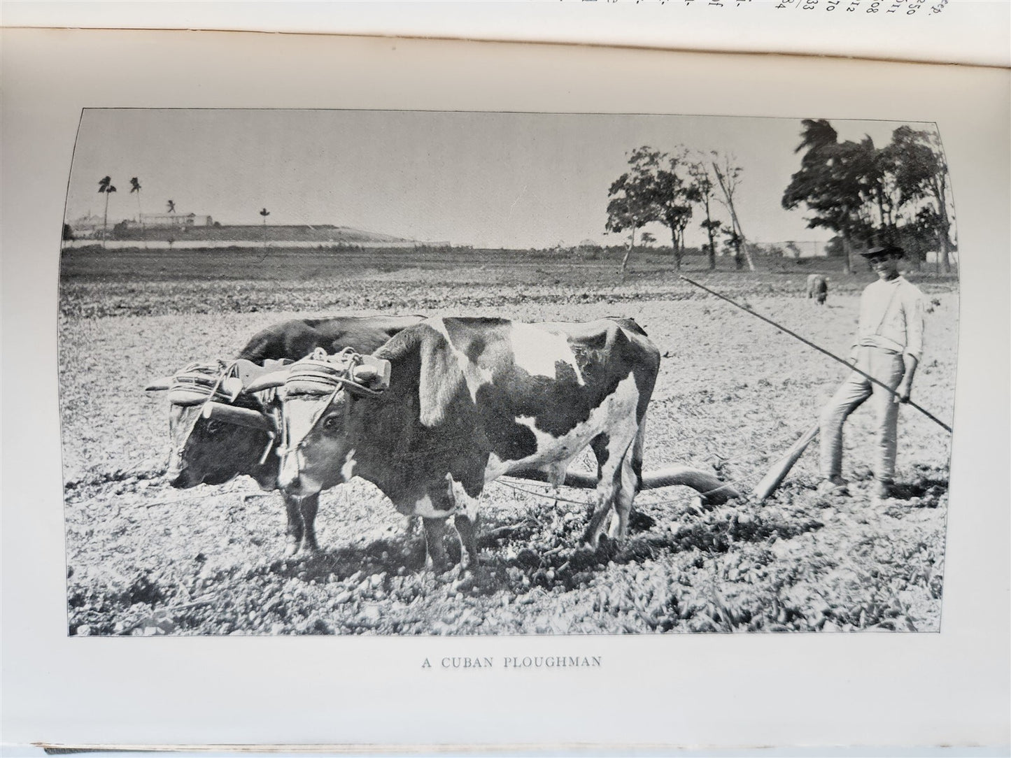 1898 COMMERCIAL CUBA by WILLIAM CLARK ILLUSTRATED SIGNED by AUTHOR ! antique