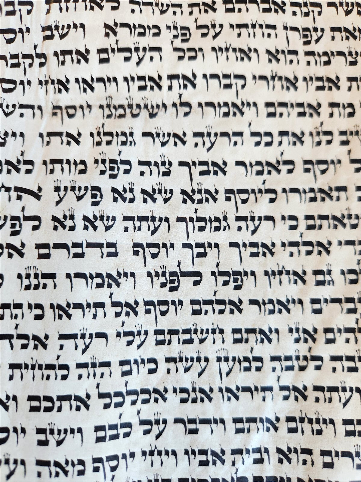TORAH SCROLL FRAGMENT MANUSCRIPT on VELLUM antique BIBLE DEUTERONOMY 11:4-13:12