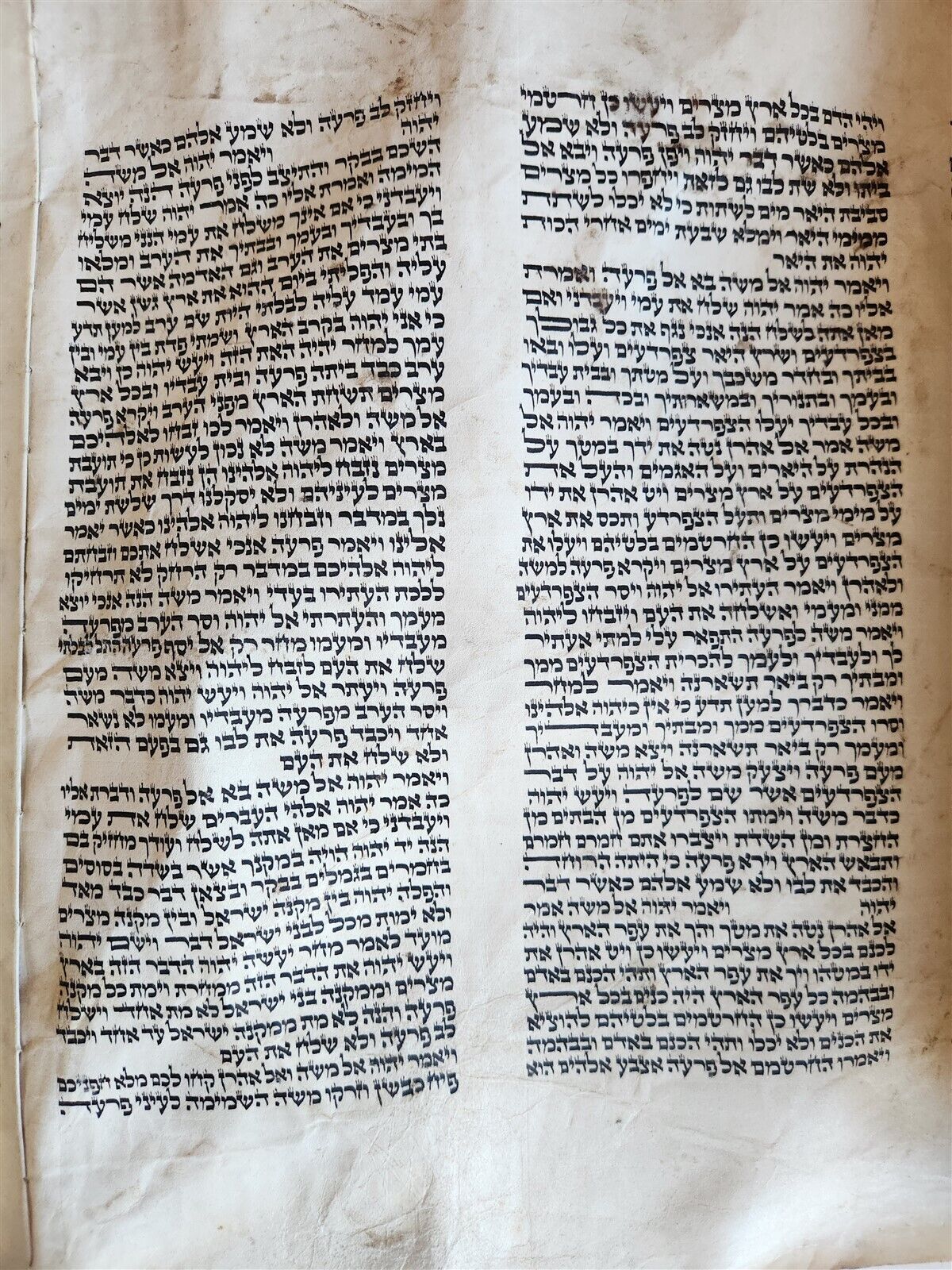 TORAH SCROLL FRAGMENT MANUSCRIPT on VELLUM antique BIBLE EXODUS