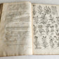 1756 BRITISH HERBAL J.HILL antique ILLUSTRATED FOLIO HISTORY OF PLANTS & TREES