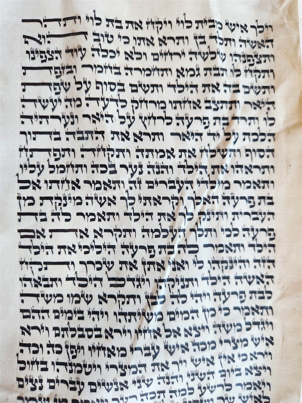 TORAH SCROLL FRAGMENT MANUSCRIPT on VELLUM antique BIBLE EXODUS