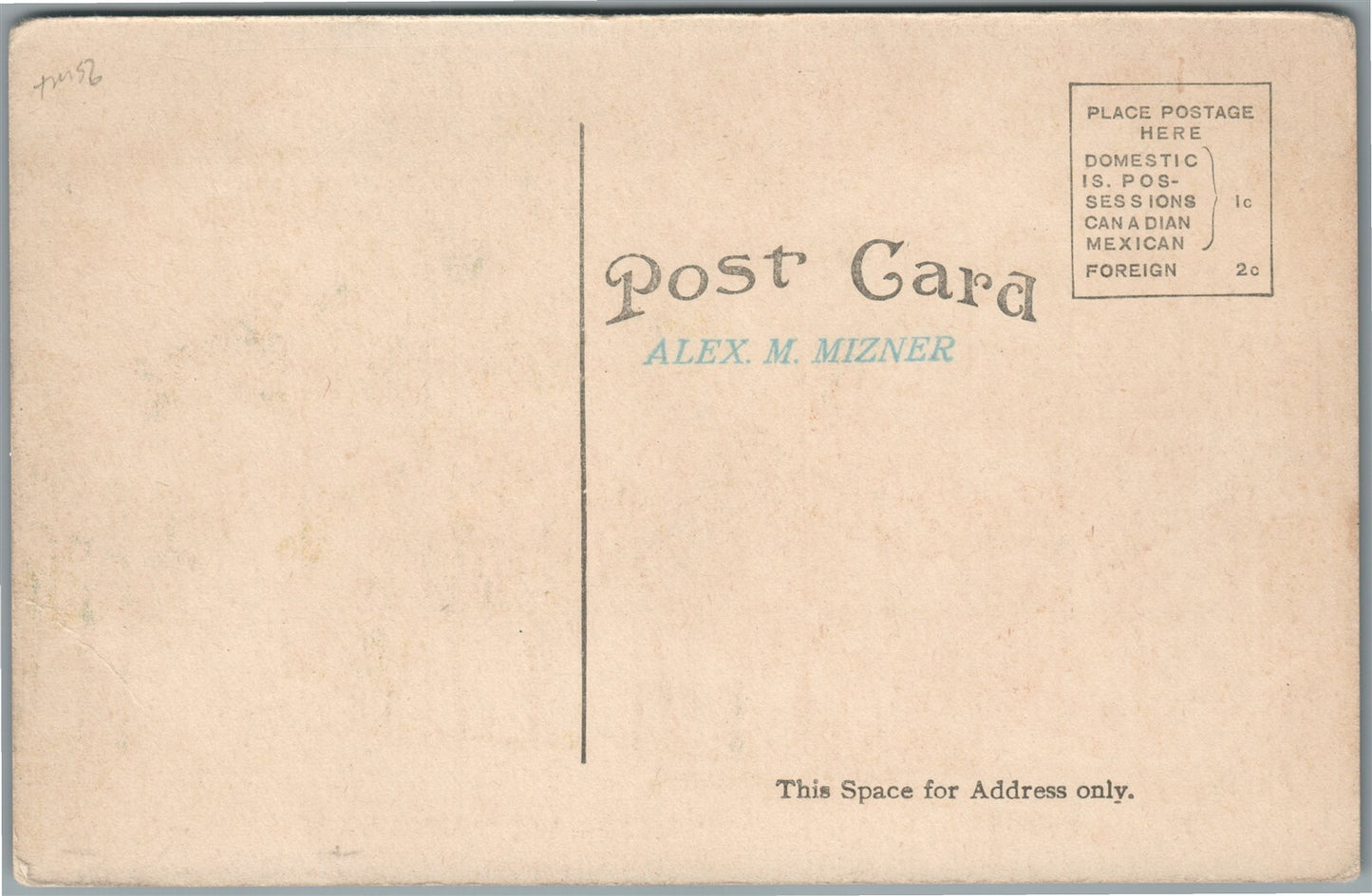 FONT DU LAC WI FOREST STREET ANTIQUE POSTCARD