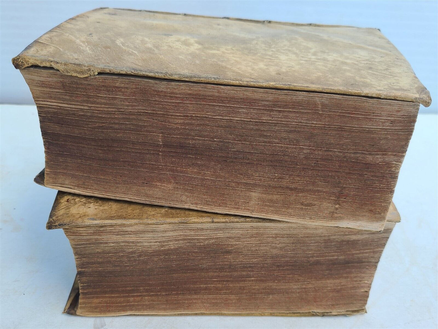 1597 ARISTOTLE 2 VOLUMES 16th CENTURY antique VELLUM BOUND in GREEK & LATIN