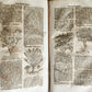 1696 THEATRUM BOTANICUM by Theodor ZWINGER antique ILLUSTRATED FOLIO in GERMAN