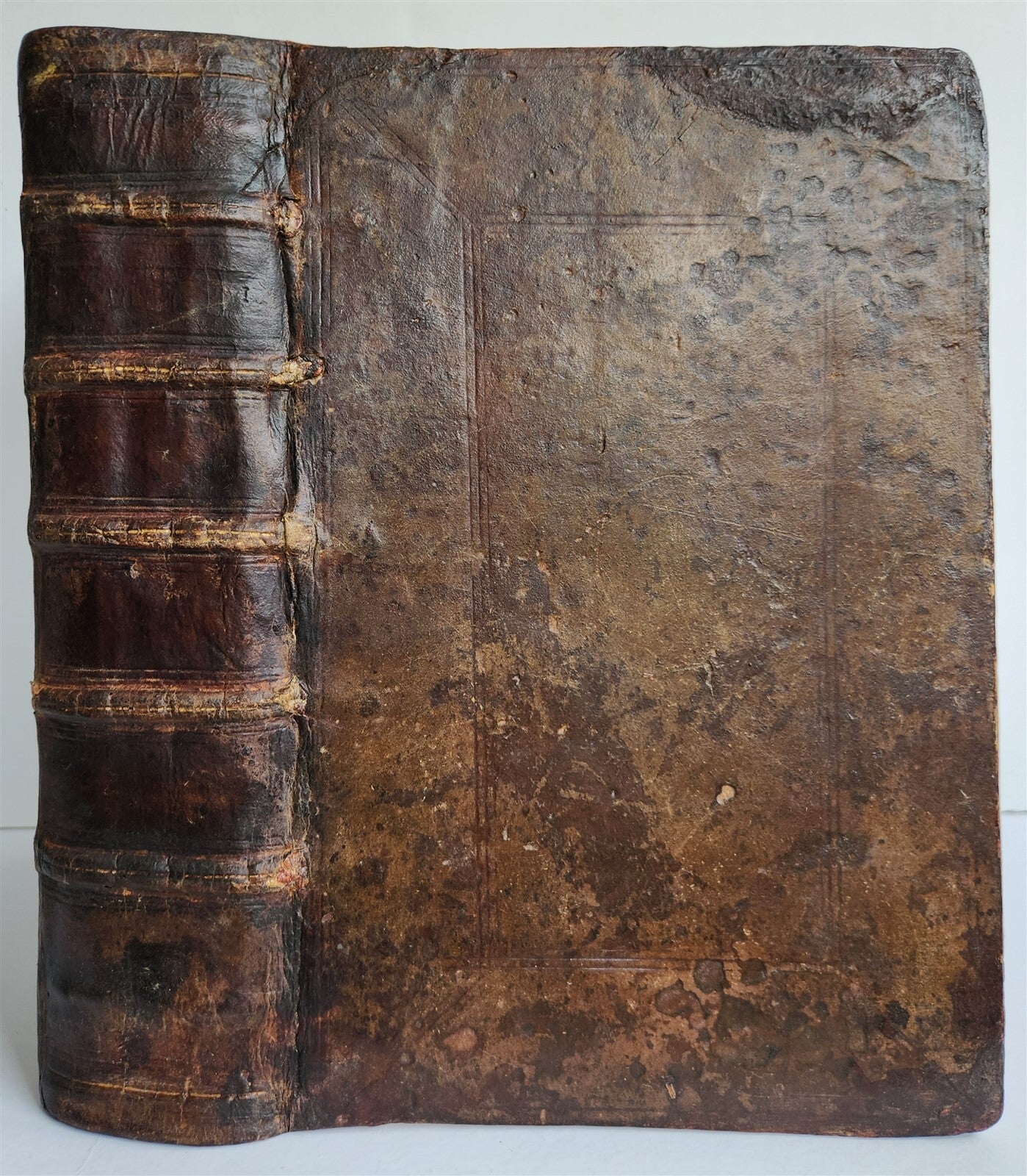 1556 COSMOGRAPHY by Sebastian Munster antique RARE ILLUSTRATED 16th cent. FOLIO