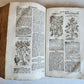 1744 THEATRUM BOTANICUM ILLUSTRATED GERMAN HERBAL antique PIGSKIN BOUND FOLIO