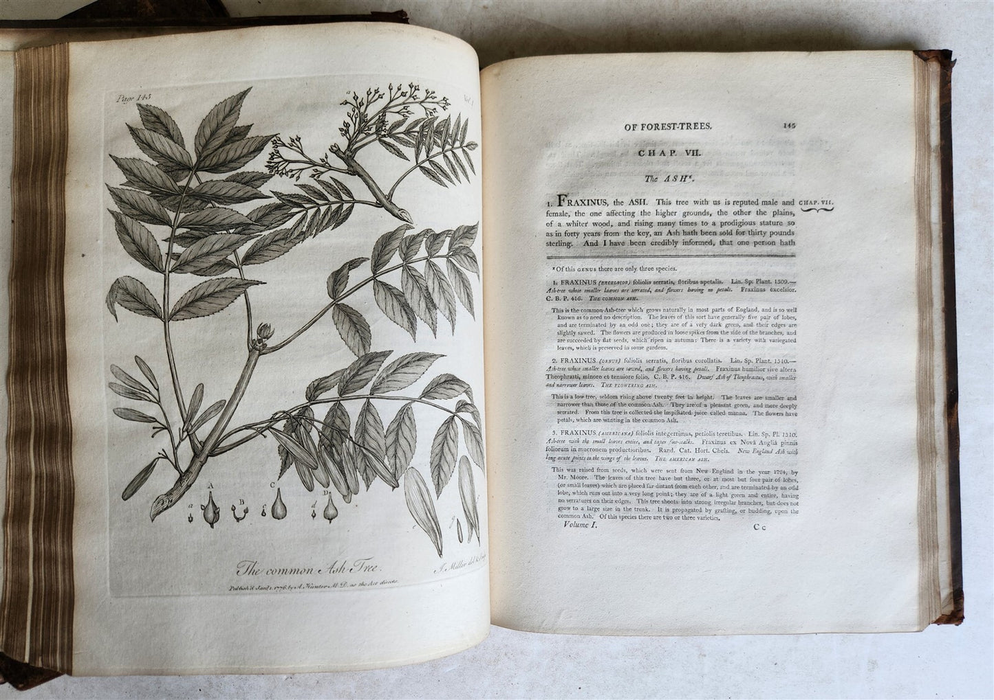1801 SILVA: DISCOURSE OF FOREST TREES 2 VOLUMES ILLUSTRATED antique in ENGLISH