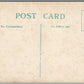 ALCOHOL PROHIBITION ANTIQUE SATIRICAL POSTCARD - YOU CAN'T FOOL NATURE