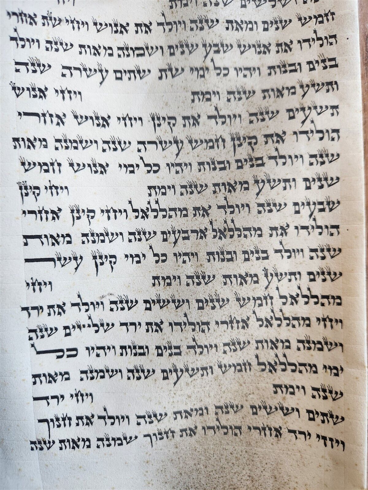 TORAH SCROLL FRAGMENT MANUSCRIPT on VELLUM antique BIBLE GENESIS ADAM & EVE