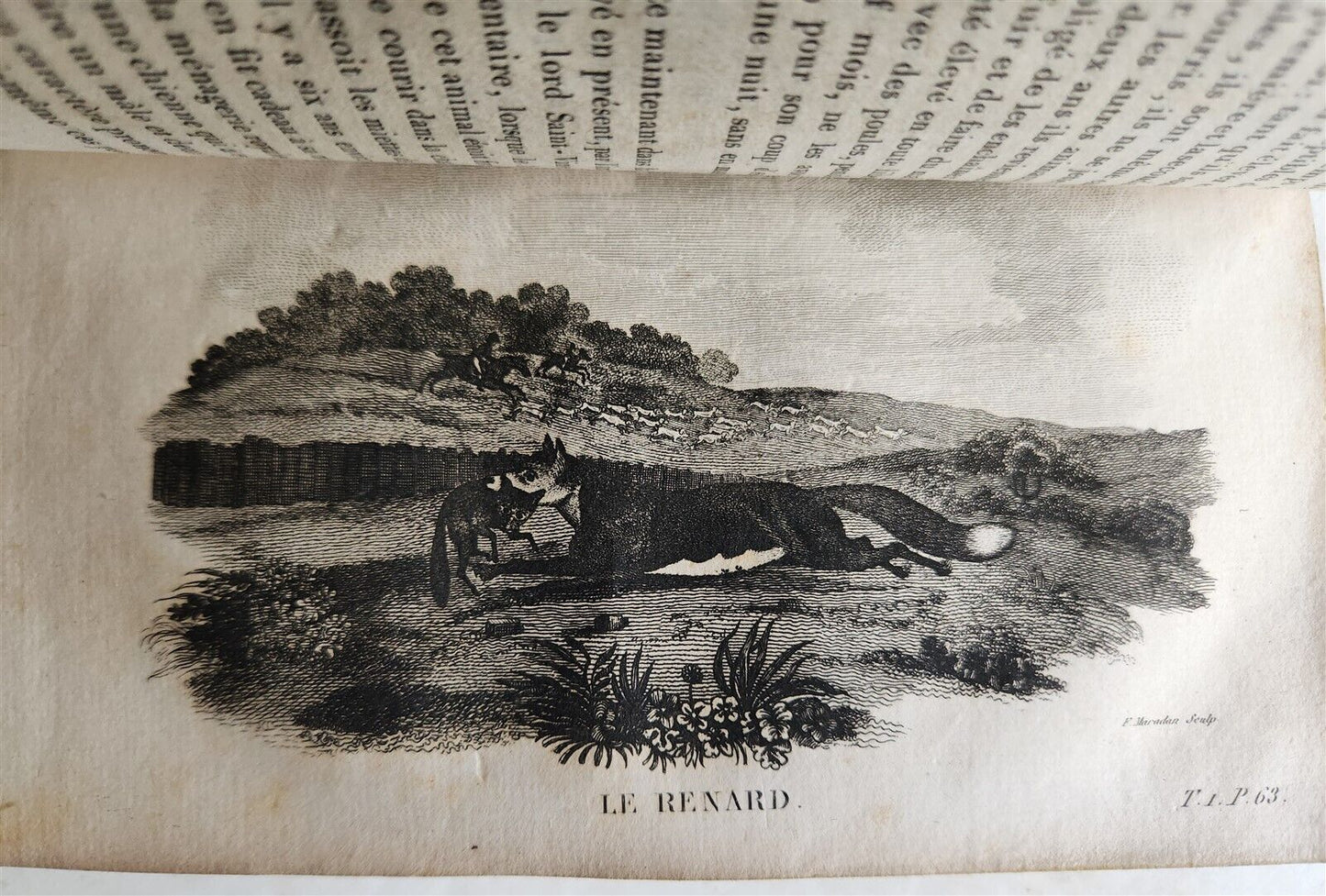 1818 HISTORY of ANIMALS ILLUSTRATED w/ 65 PLATES antique 6 VOLUMES