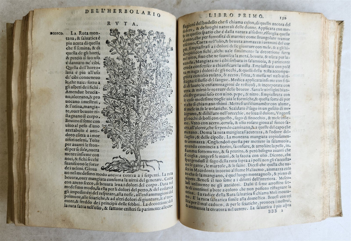 1561 PHARMACOPEIA ILLUSTRATED MEDICAL PLANTS by SANSOVINO antique 16th CENTURY