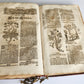 1696 THEATRUM BOTANICUM by Theodor ZWINGER antique ILLUSTRATED FOLIO in GERMAN