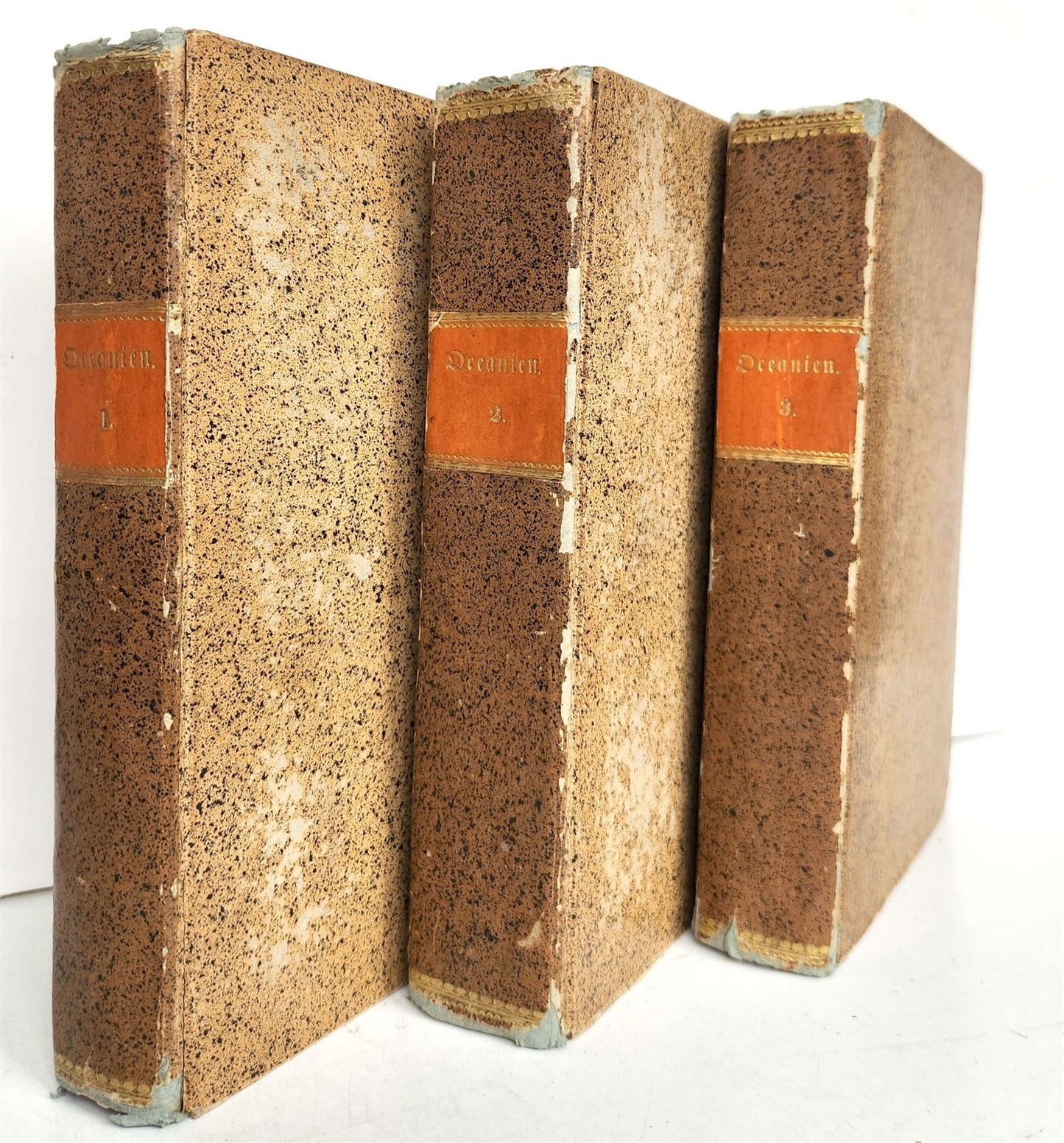 1838 TRAVELS to OCEANIA MALAYSIA POLYNESIA 3 VOLUMES antique ILLUSTRATED German