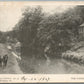 BUCKS CO. PA ARNOLD BROS. NEW HOPE CANAL ANTIQUE POSTCARD #12