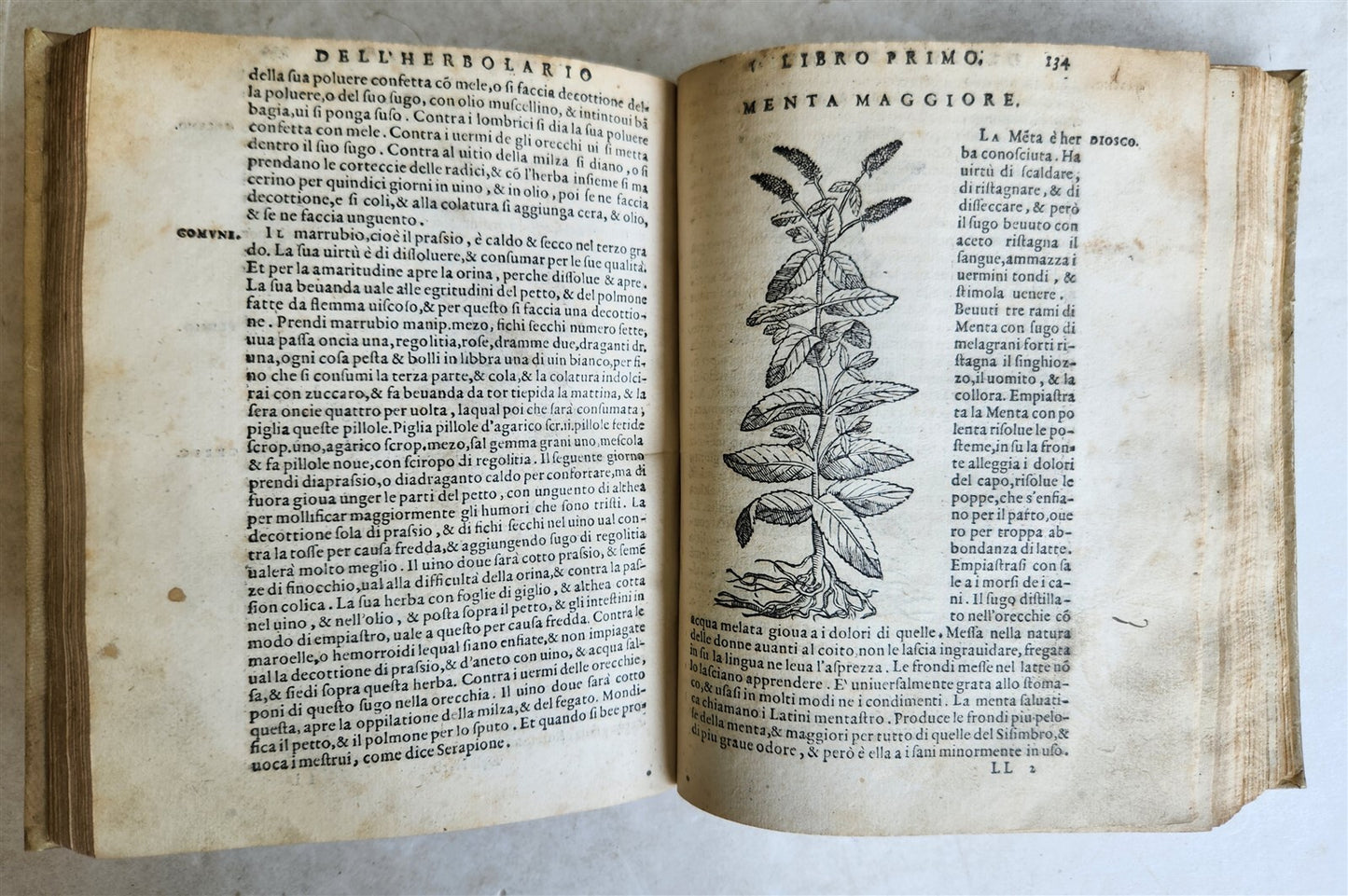 1561 PHARMACOPEIA ILLUSTRATED MEDICAL PLANTS by SANSOVINO antique 16th CENTURY
