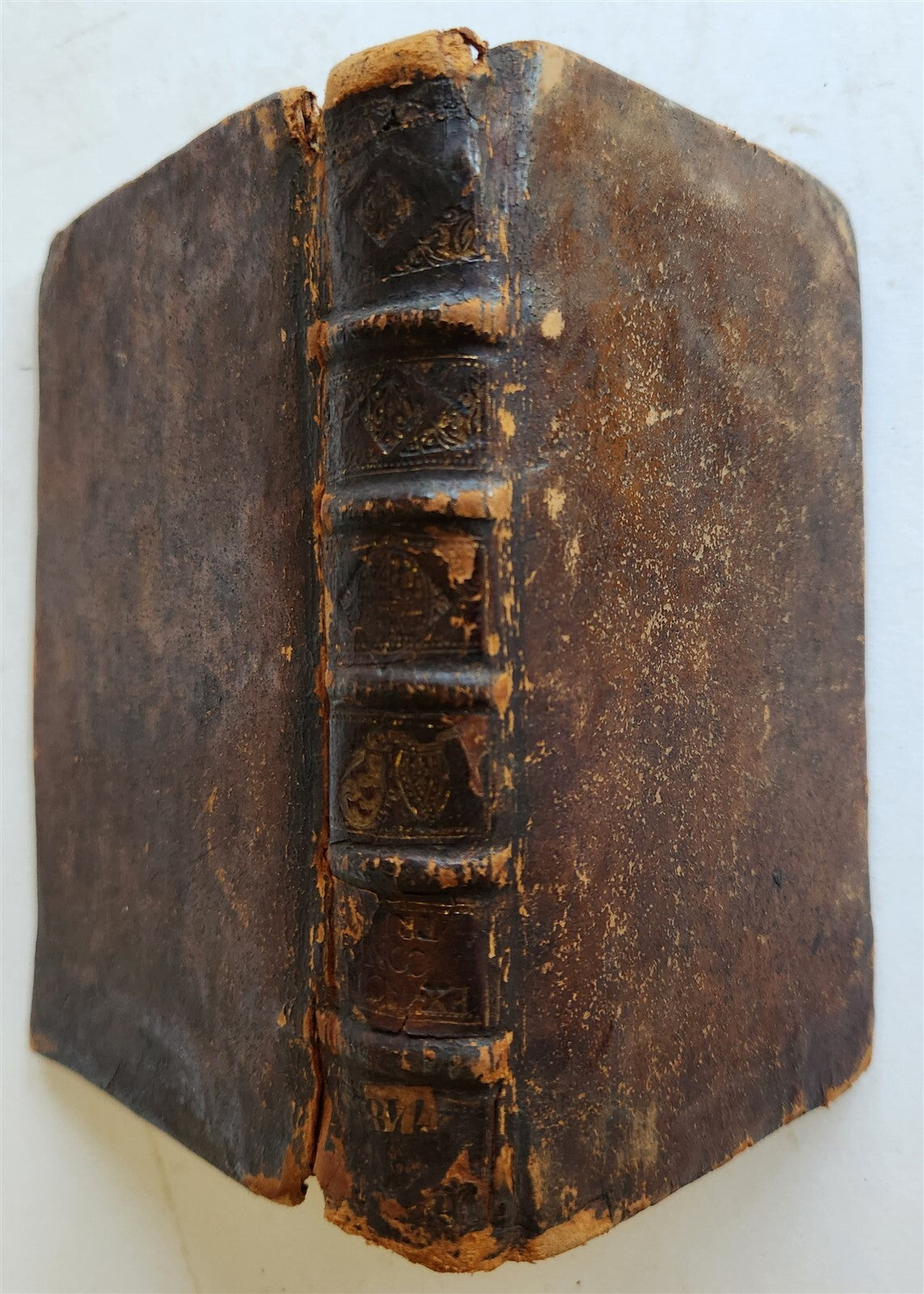 1565 Ex actis concilii Tridentini by Gerwin CALENIUS antique COUNCIL of TRENT