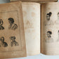 1838 TRAVELS to OCEANIA MALAYSIA POLYNESIA 3 VOLUMES antique ILLUSTRATED German