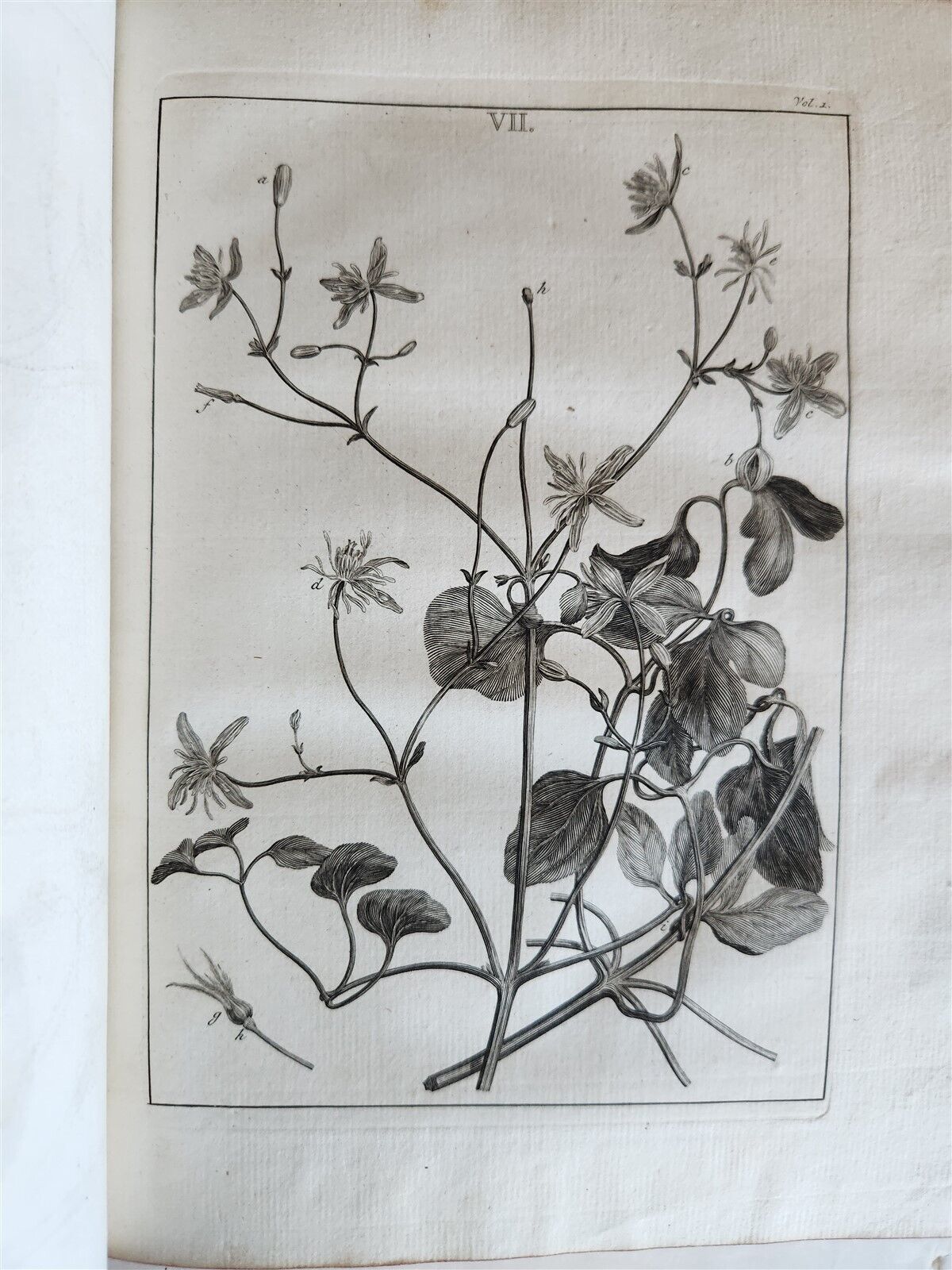 1754 ANATOMY DENTISTRY BOTANY antique ILLUSTRATED Continet anatomica physiology