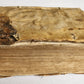 1574 Jean TIXIER antique VELLUM BOUND Officinae Ioannis Rauisii Textoris
