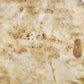 1513 POST-INCUNABULA HISTORY of FRANCISCANS ORDER antique Vellum Bound RARE