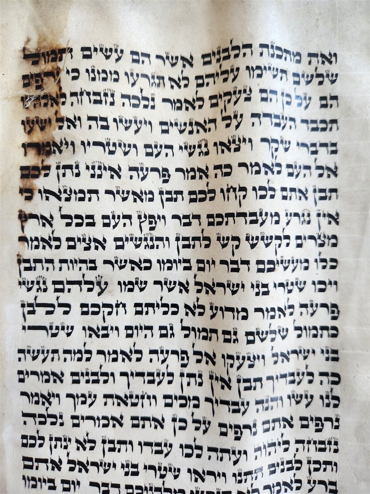 TORAH SCROLL FRAGMENT MANUSCRIPT on VELLUM antique BIBLE EXODUS 2:1 - 6:7