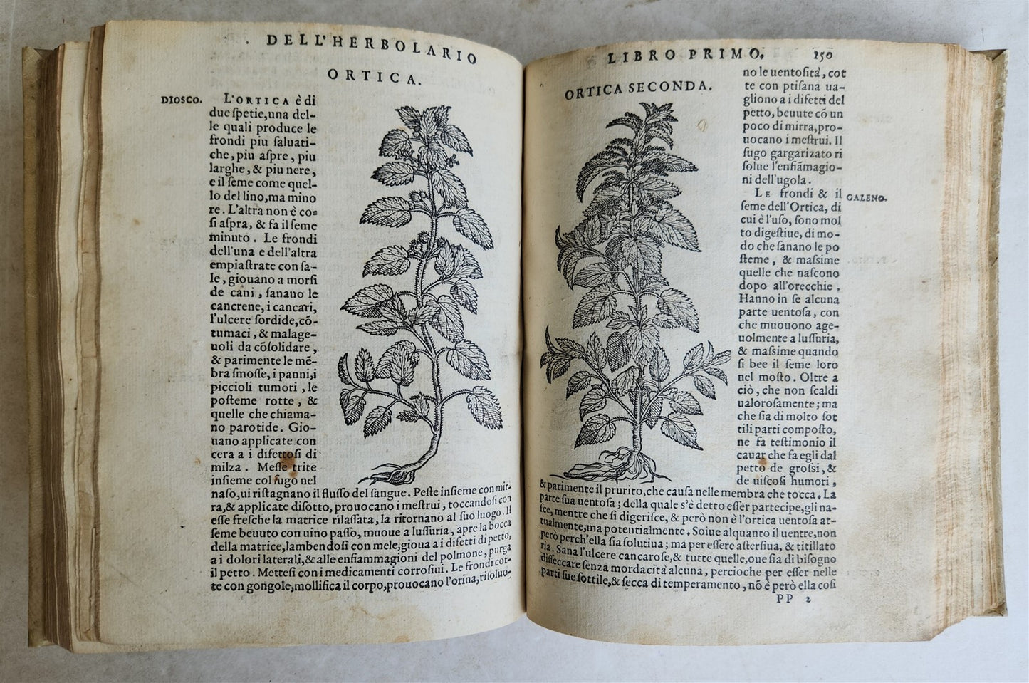 1561 PHARMACOPEIA ILLUSTRATED MEDICAL PLANTS by SANSOVINO antique 16th CENTURY
