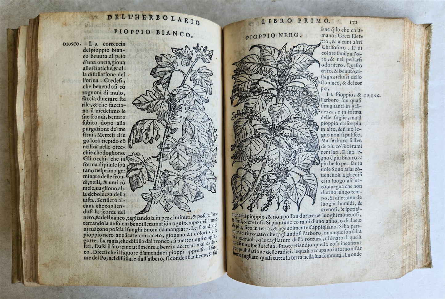 1561 PHARMACOPEIA ILLUSTRATED MEDICAL PLANTS by SANSOVINO antique 16th CENTURY