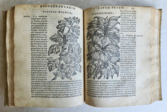 1561 PHARMACOPEIA ILLUSTRATED MEDICAL PLANTS by SANSOVINO antique 16th CENTURY