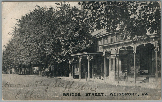 WEISSPORT PA BRIDGE STREET ANTIQUE POSTCARD