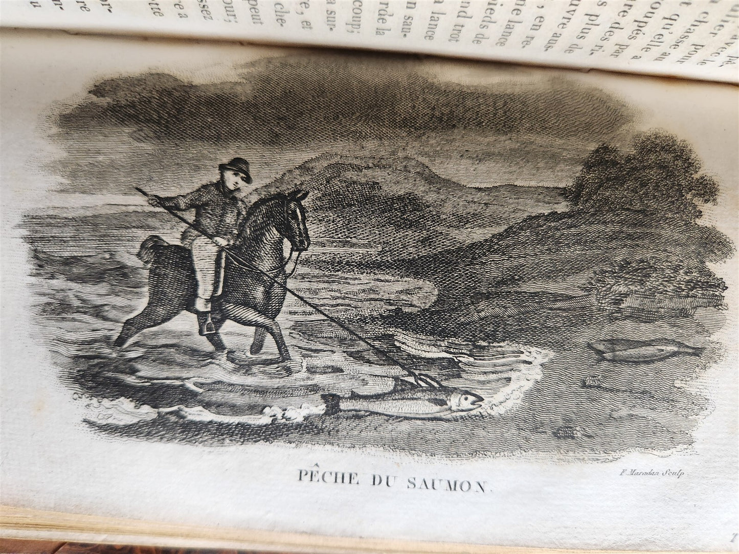 1818 HISTORY of ANIMALS ILLUSTRATED w/ 65 PLATES antique 6 VOLUMES