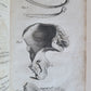 1822 ENGRAVINGS OF THE HUMAN BONES by WILLIAM CHESELDEN ILLUSTRATED antique