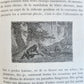 1884 HUNTING in NORTH AMERICA CHASSES dans AMERIQUE du NORD antique ILLUSTRATED