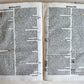 1521 POST-INCUNABULA COMMENTARY of PSALMS by Ludolph of Saxony antique VELLUM