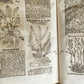 1696 THEATRUM BOTANICUM by Theodor ZWINGER antique ILLUSTRATED FOLIO in GERMAN