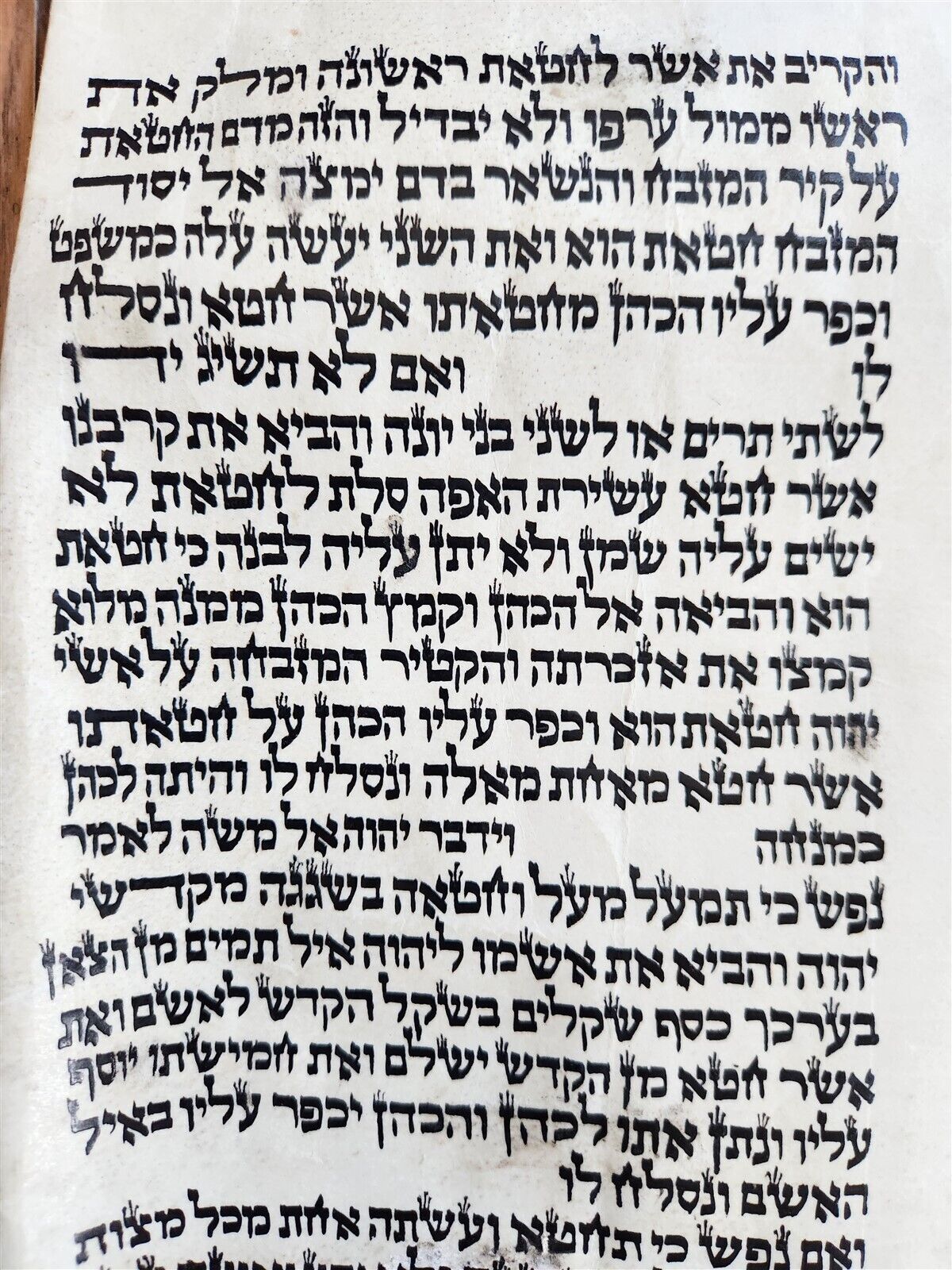 TORAH SCROLL FRAGMENT MANUSCRIPT on VELLUM antique BIBLE LEVITICUS 4:23 - 6:2